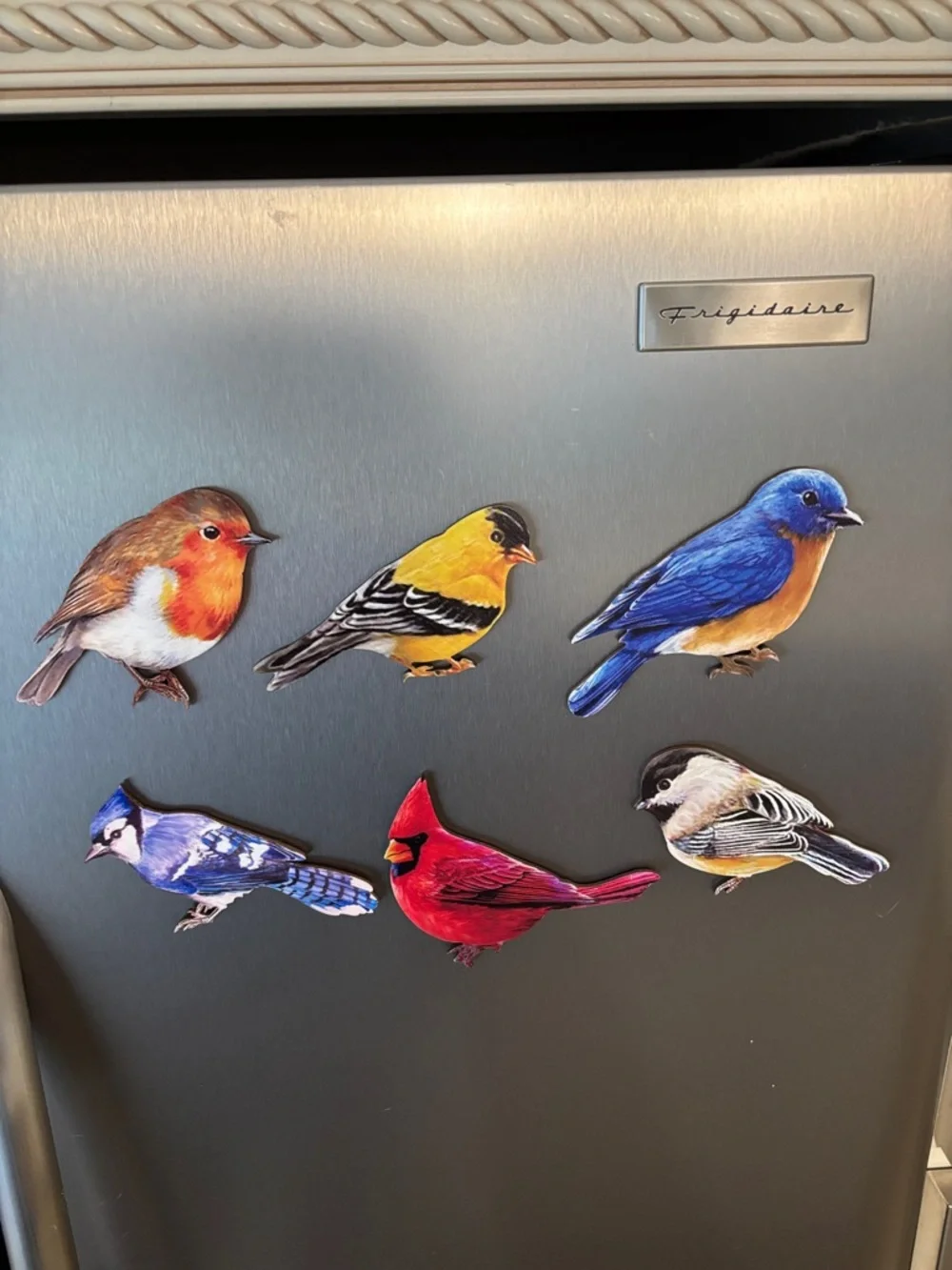 6🐦⬛Bird Magnet‎ Set - Colorful Decorative Bird Magnets for Fridge